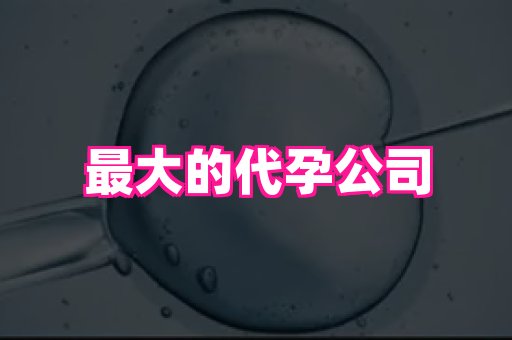 香港助孕网 2