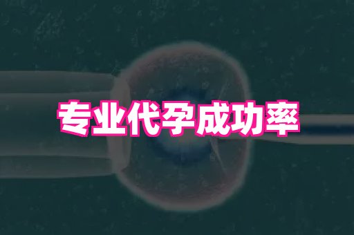 香港助孕网 3
